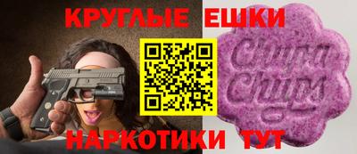 прущие грибы Ирбит