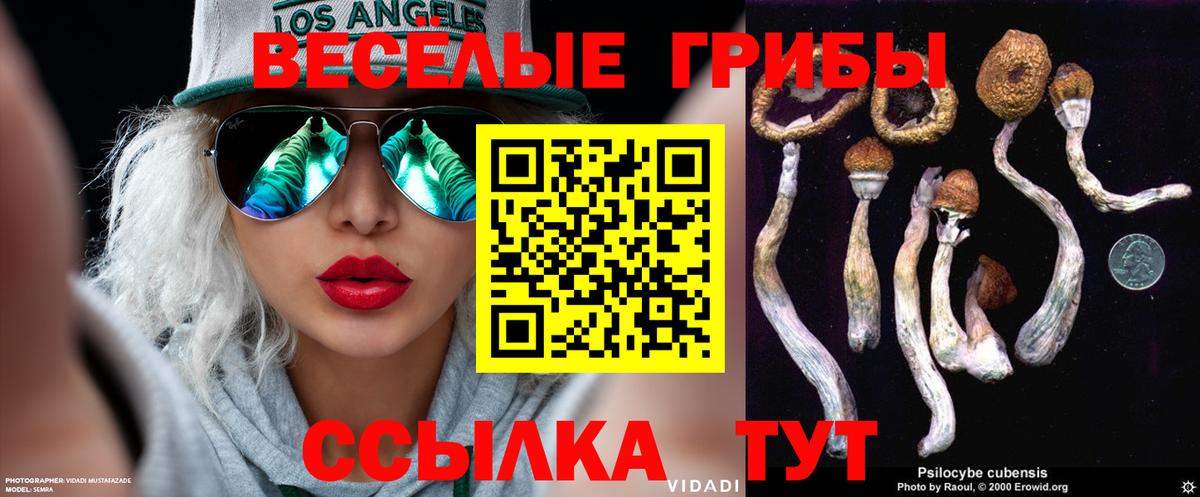 Псилоцибиновые грибы GOLDEN TEACHER Красноуфимск